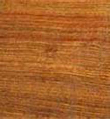 Acacia Blackwood