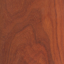 African Padauk