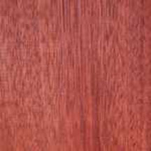 Bloodwood