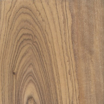Roman Olivewood