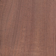 Tasmanian Blackwood