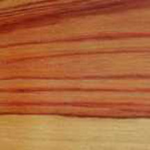 Tulipwood