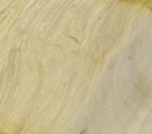 Yellow Wood 